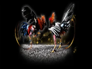 Bí Kíp Chơi Đá Gà Sabong AZ888 Chinh Phục Mọi Kèo Cược Lớn